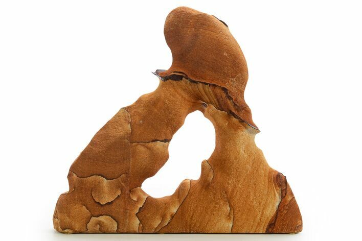 Wide Picture Sandstone Arch - Arizona #331153